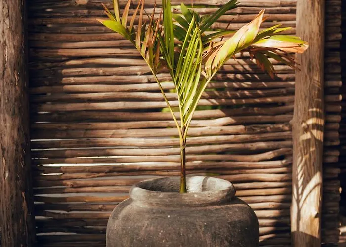 Tribal Hotel